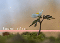 F&ecirc;te printani&egrave;re avec fleur d&eacute;licate